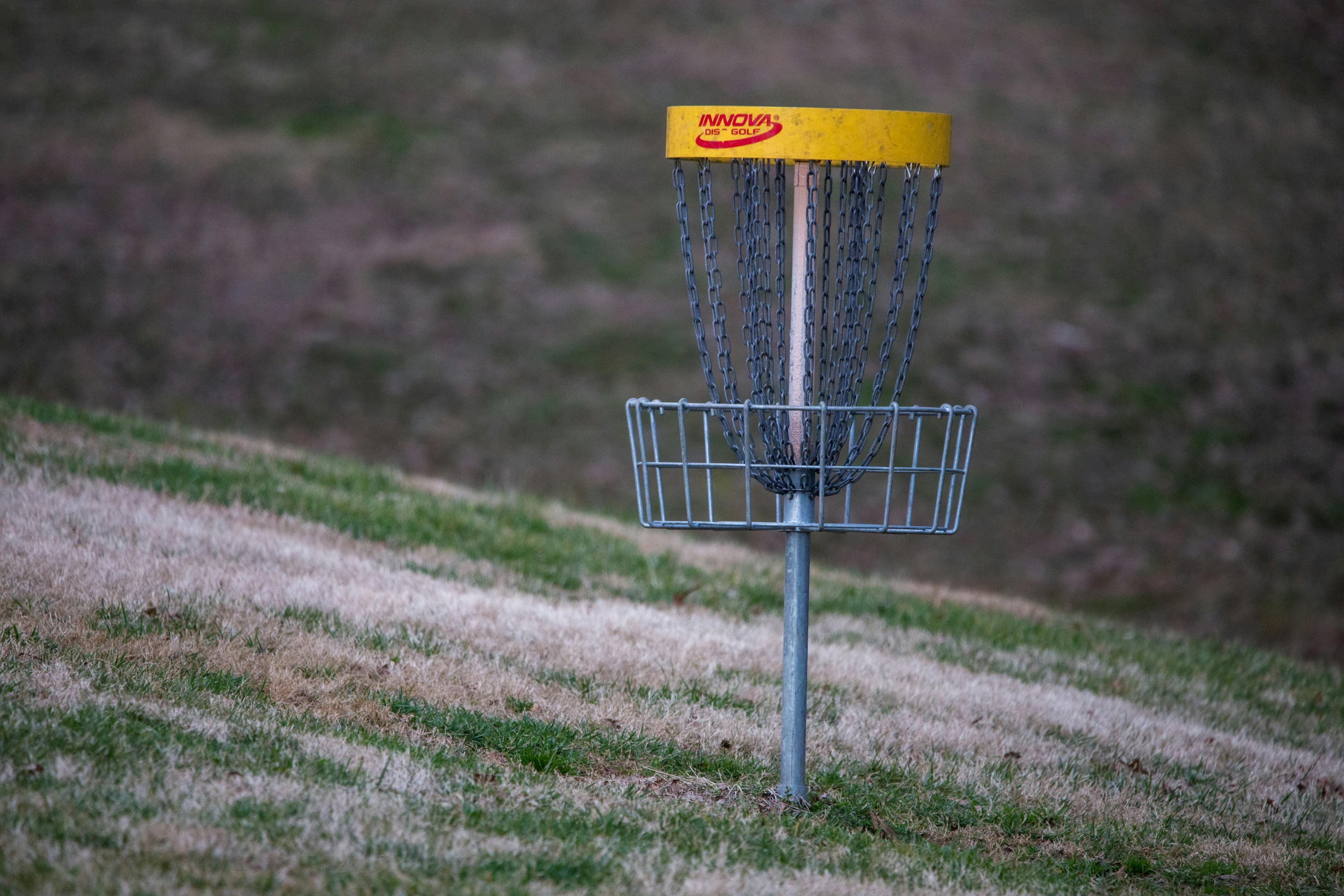 Disc Golf Championship: Top Picks & Live Updates