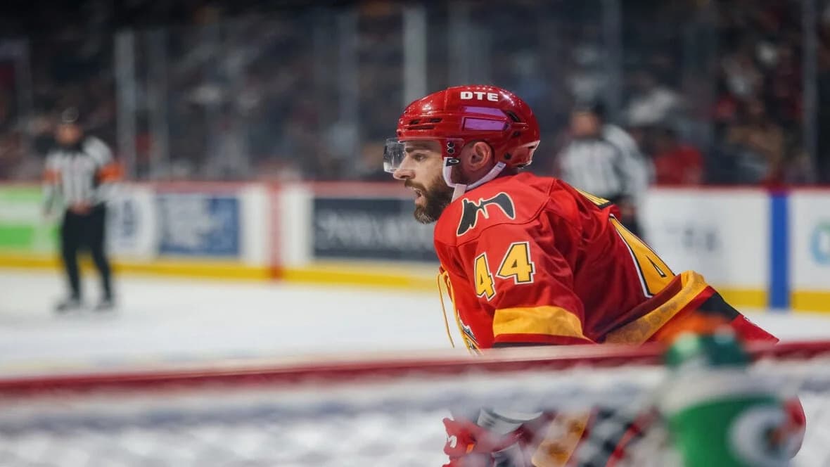 Former Griffins Find New Homes - Full Update