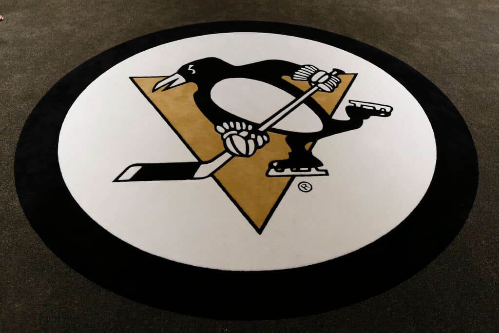 Penguins Player's Father Killed by Bear in Russia