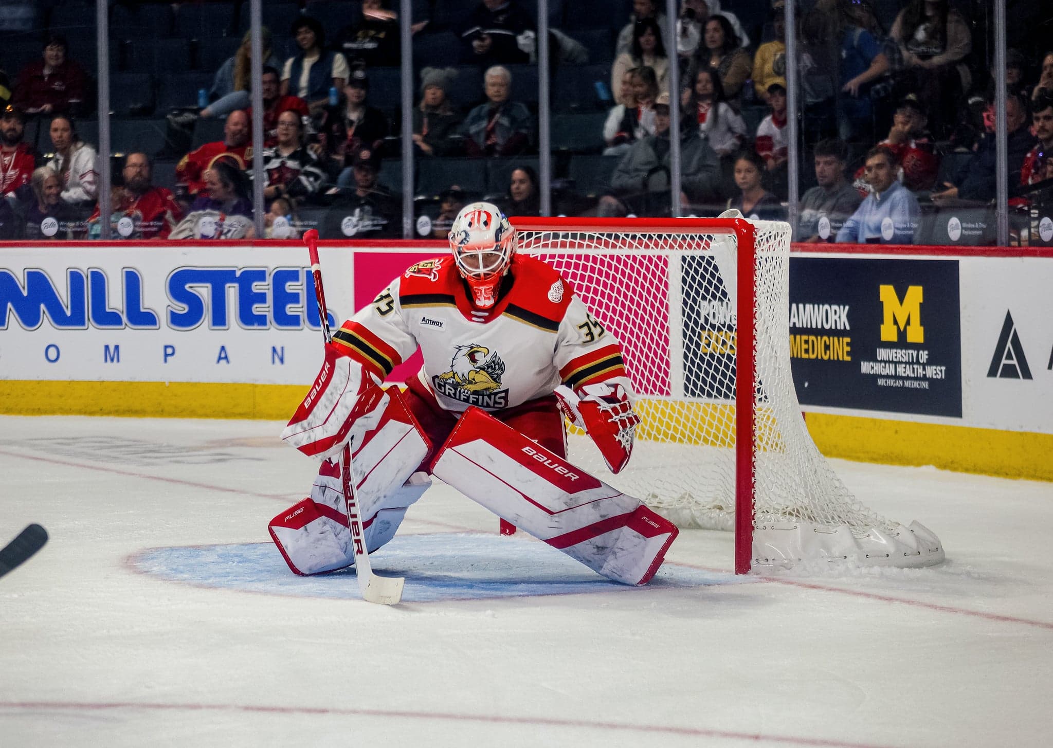 Red Wings Call Up Griffins Goalie Michal Postava