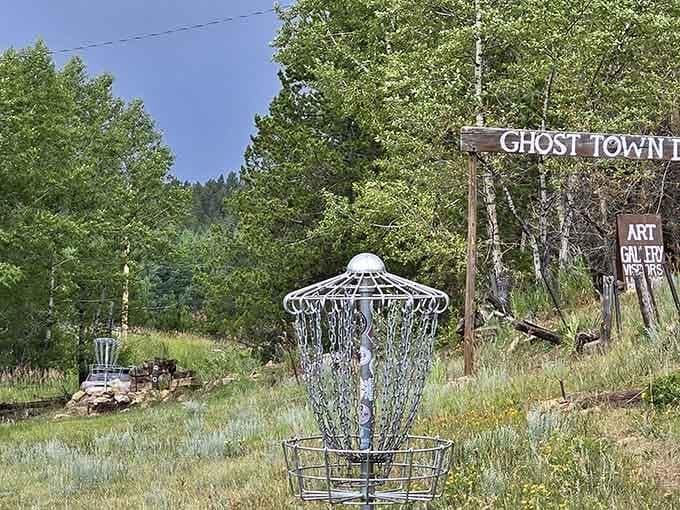 Colorado Disc Golf Course: Perfect Year-Round Day Trip
