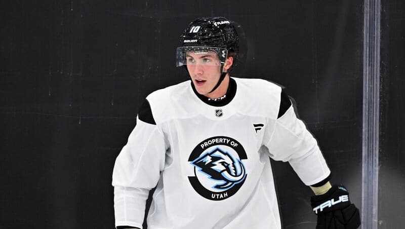 Maveric Lamoureux 30 Pounds Heavier: NHL Ready in 2026