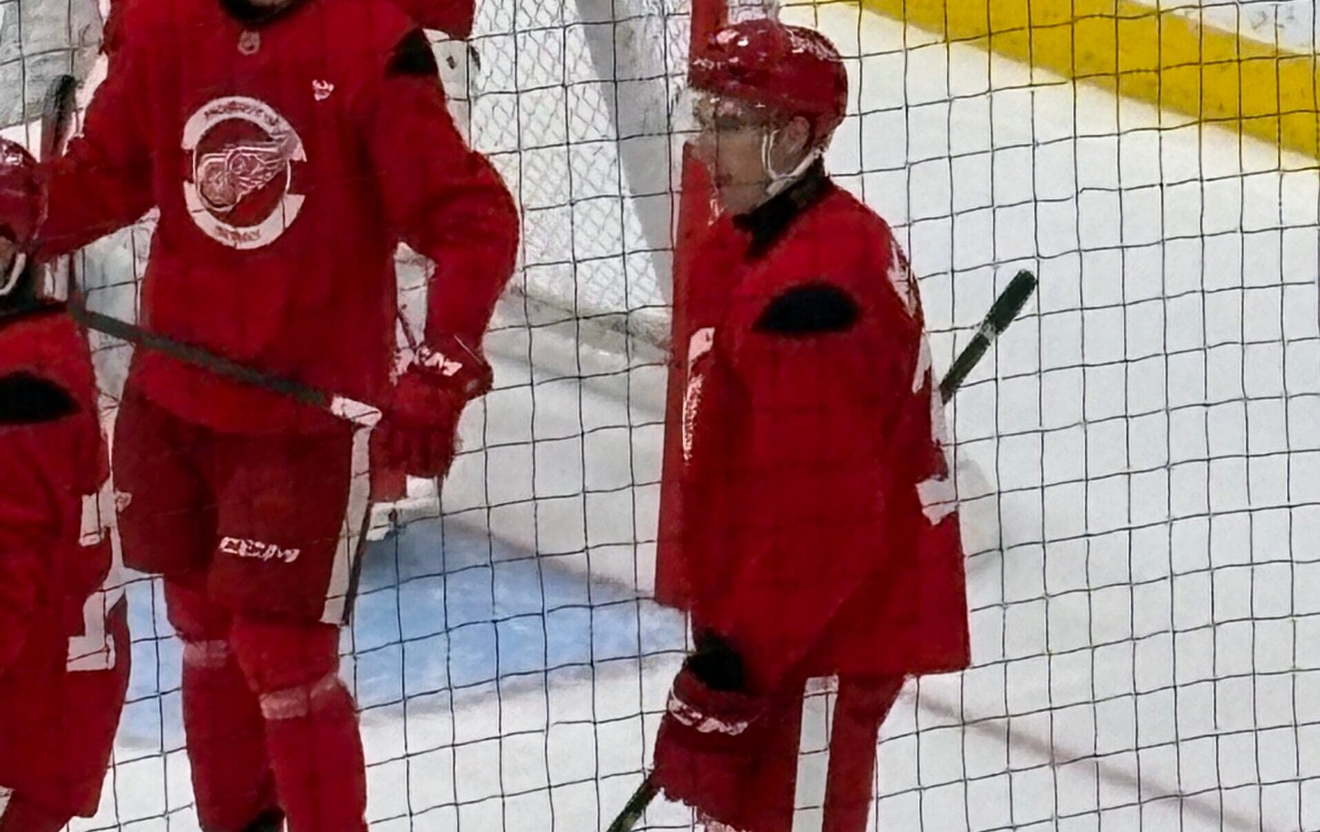 Red Wings Interim GM: Rookie Tourney Wrap 2026